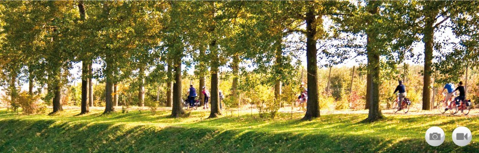 Venice to Mantua by Bike and Boat (and reverse) 