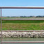 Crociera sul Po, i suoi canali e nella Laguna di Venezia