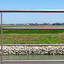 River cruise along the Po, its channels and barging on Venice Lagoon